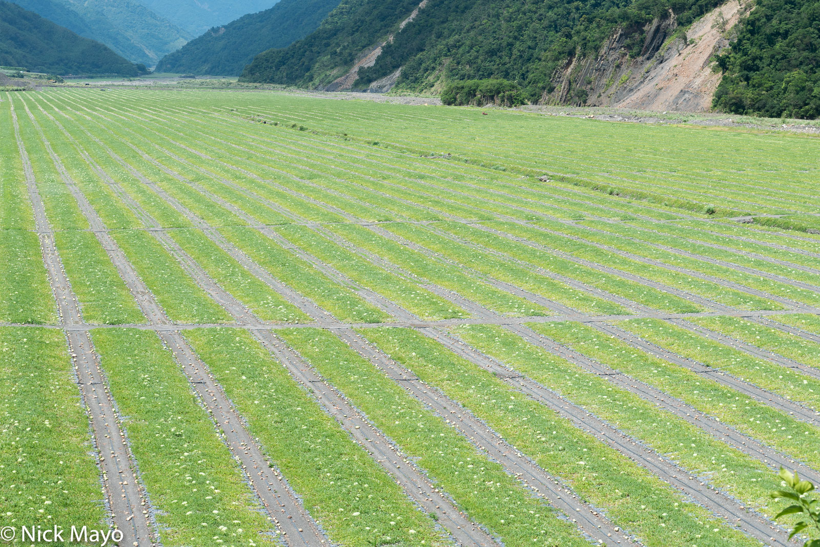 Water melon fields at Nan Shan in the Lanyang valley.