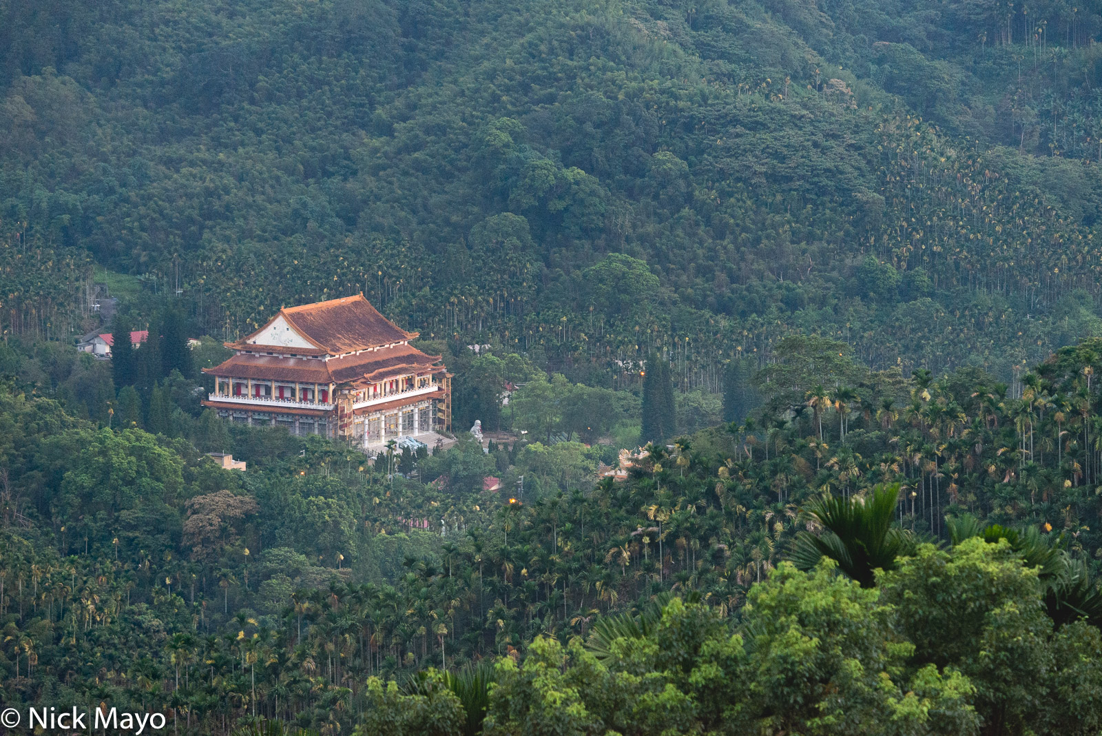 An orange roofed temple among the betel plantations near Lugu In Nantou County.