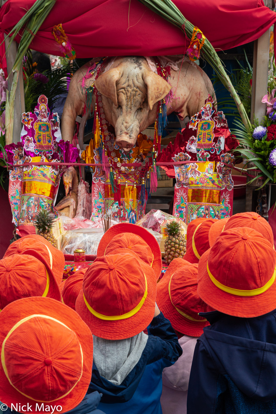 School children admiring a shen zhu (holy pig) displayed at a temple festival in Linkou.