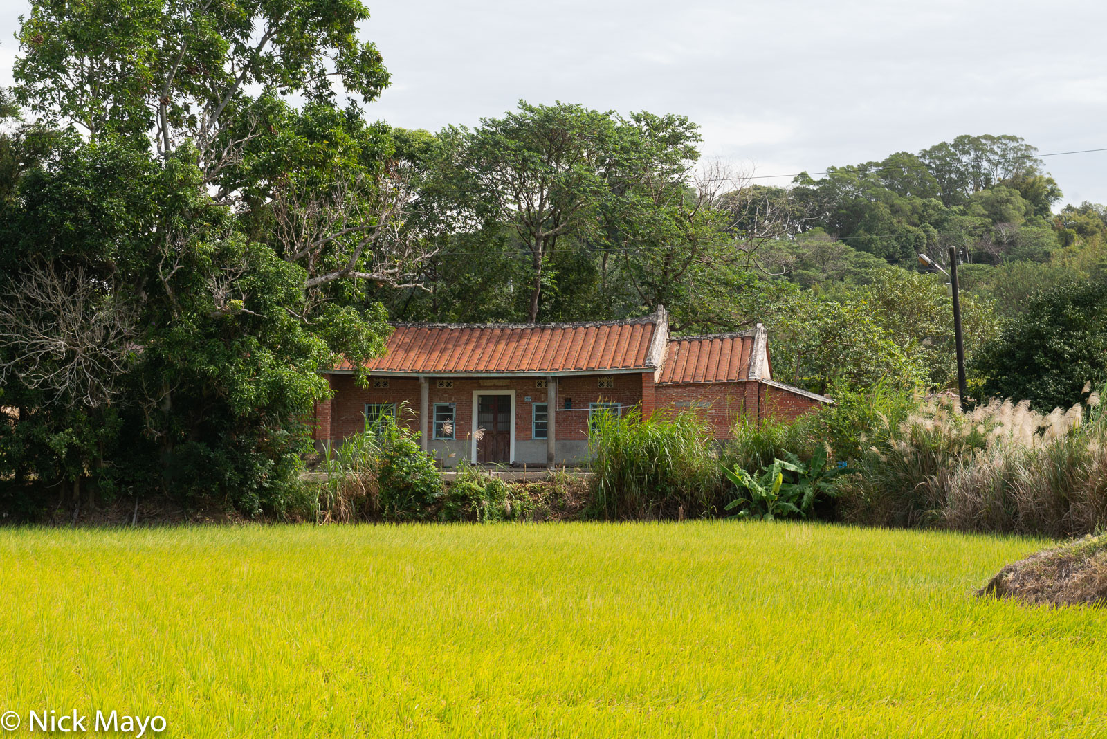 An abandoned red brick farmhouse behind paddy rice fields in Baoshan district.