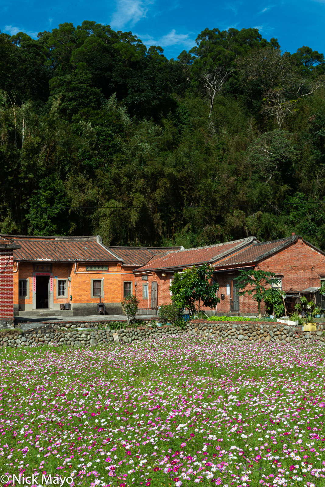 A three sided red brick farmhouse behind a field of flowers at Shanbi.