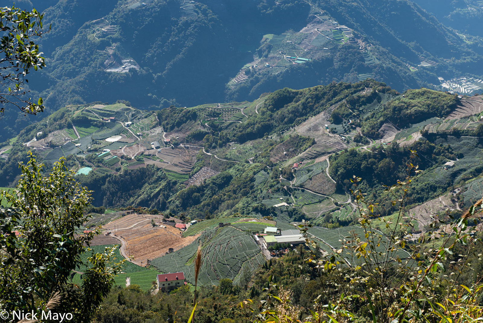 Farms in the upper Zhuoshui valley seen from the village of Bo-Wang.