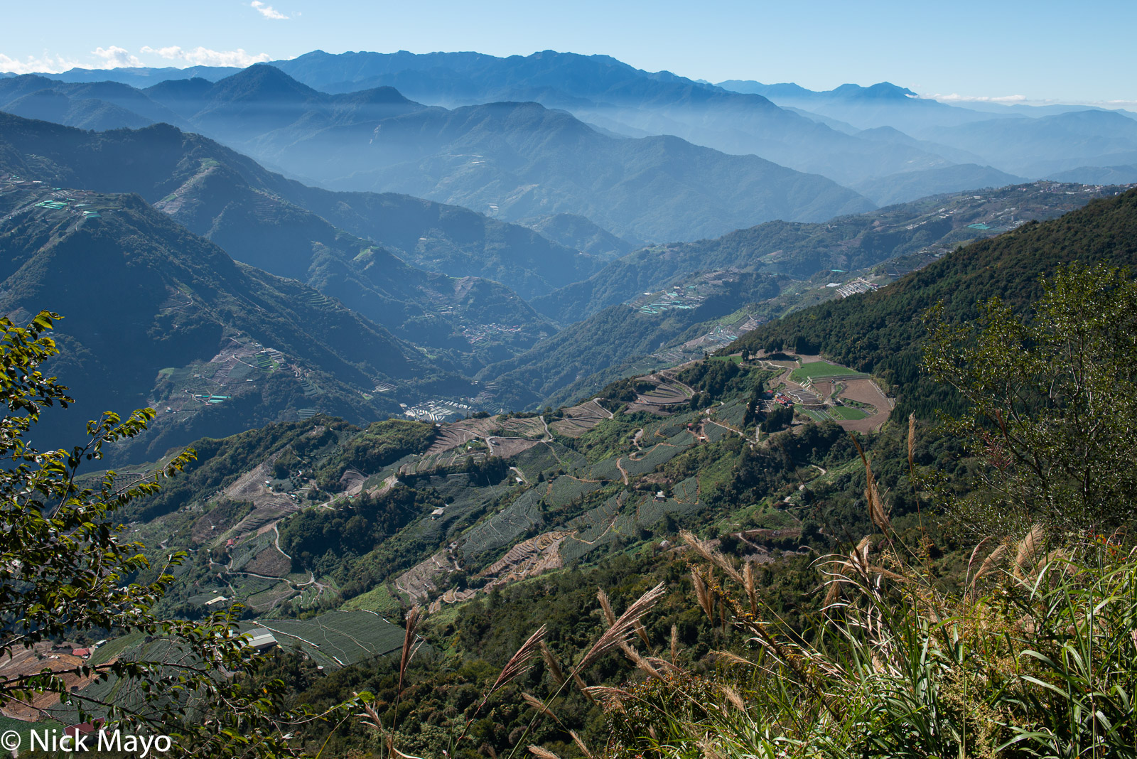 Looking south from Bo-Wang down the Zhoushui valley with its extensive fields of tea.