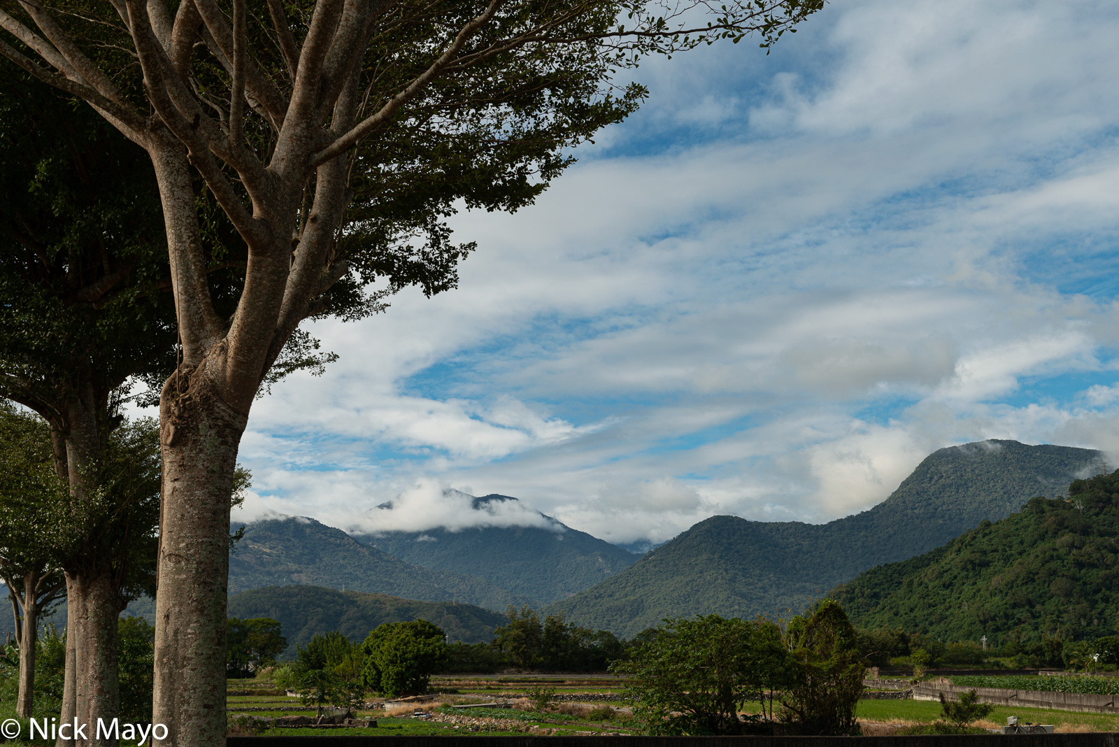 Looking south from Yuli towards Taitung County's high mountains.