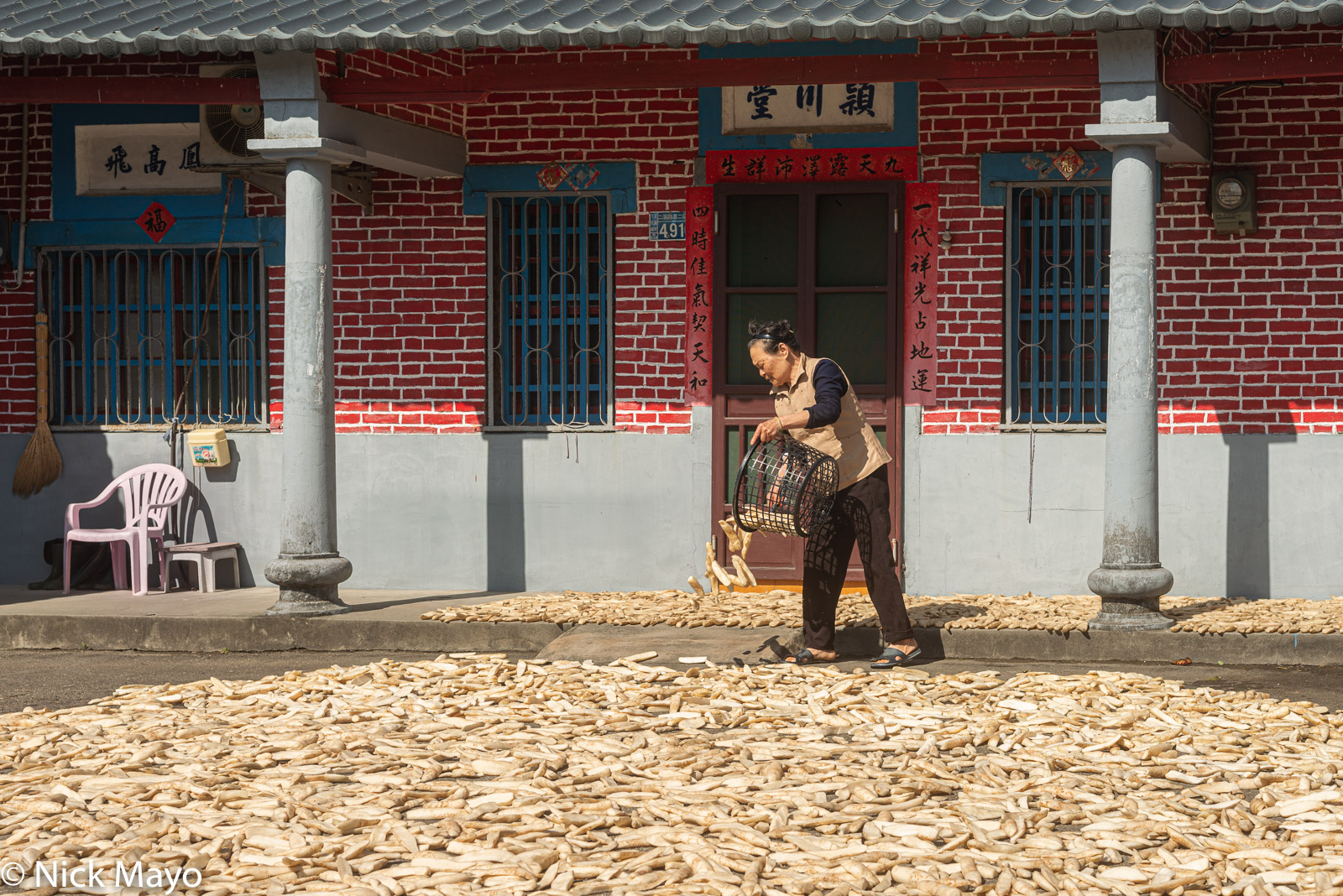 A woman dries turnips in front of her house at Fangyuan in Changhua County.
