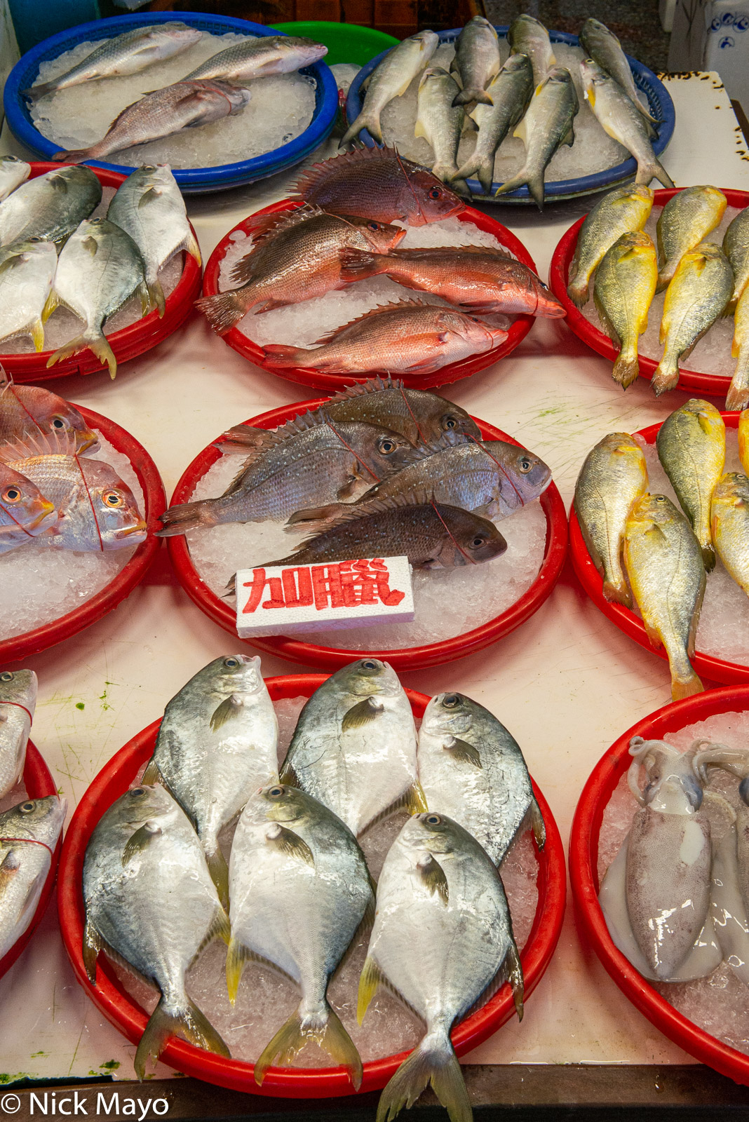 Fish on sale at a stand in the Wuqi fish market.