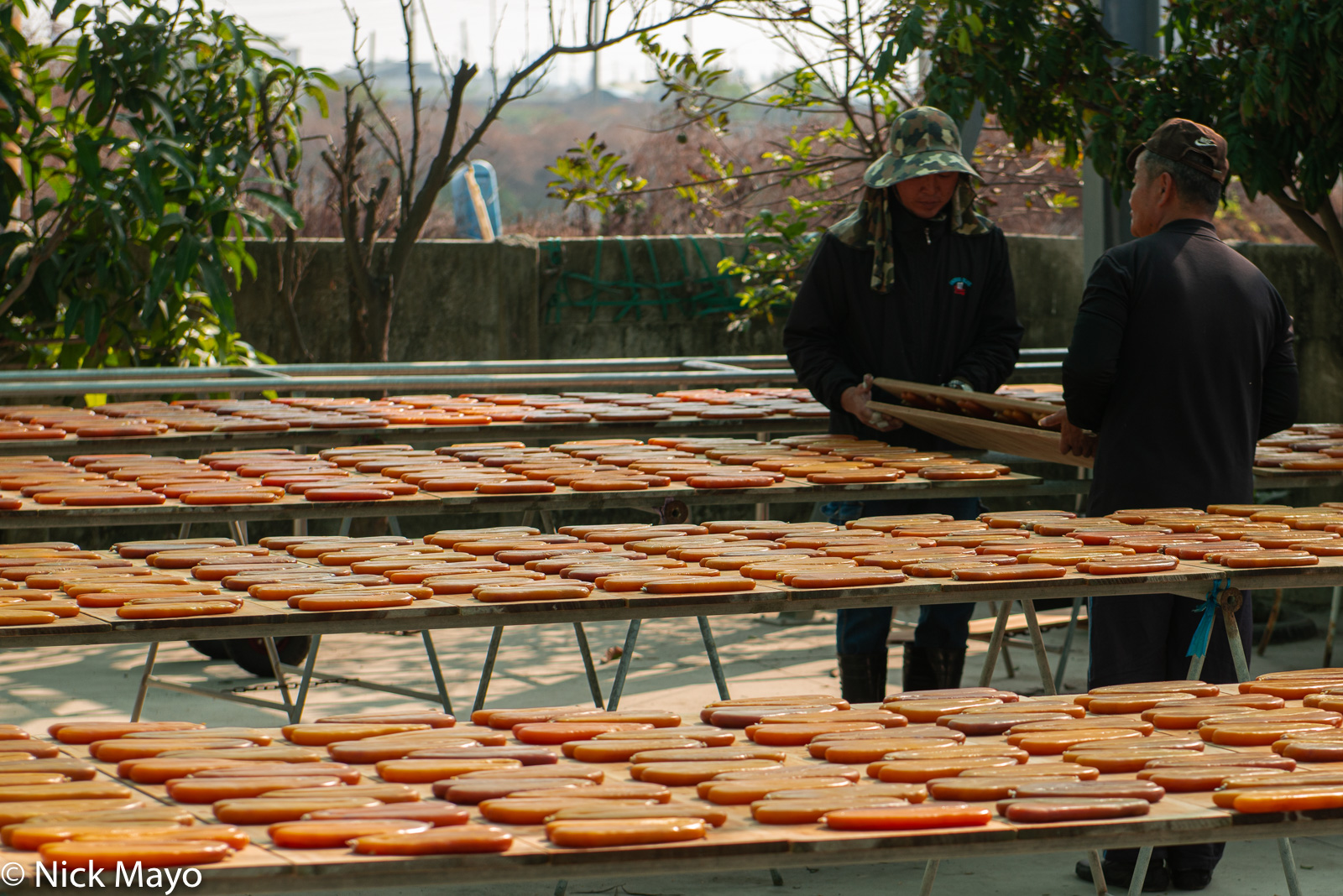 Workers turning drying mullet roe at Jinhu in Yunlin County.