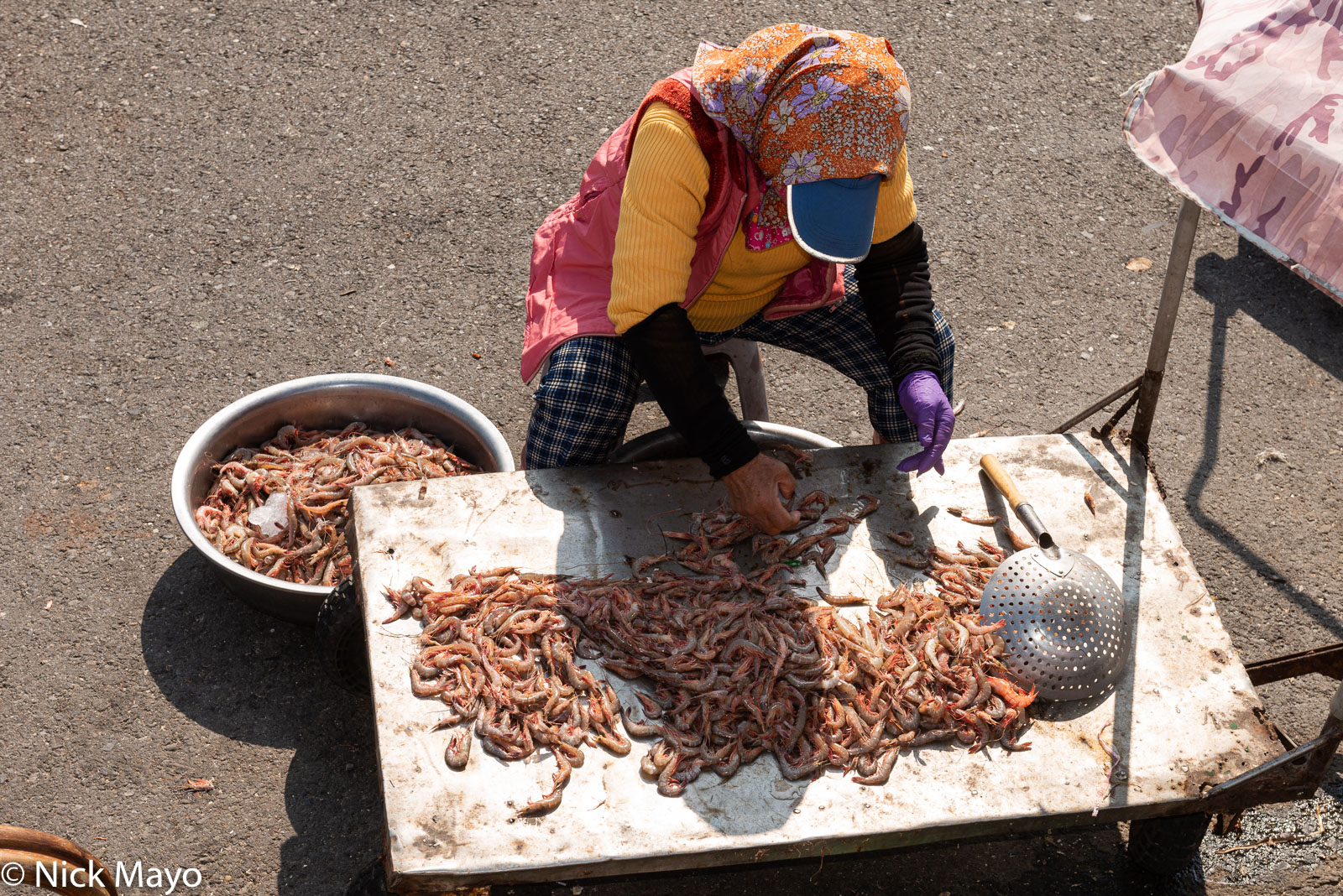 Peeling shrimp harbourside at Chingkunshen port.