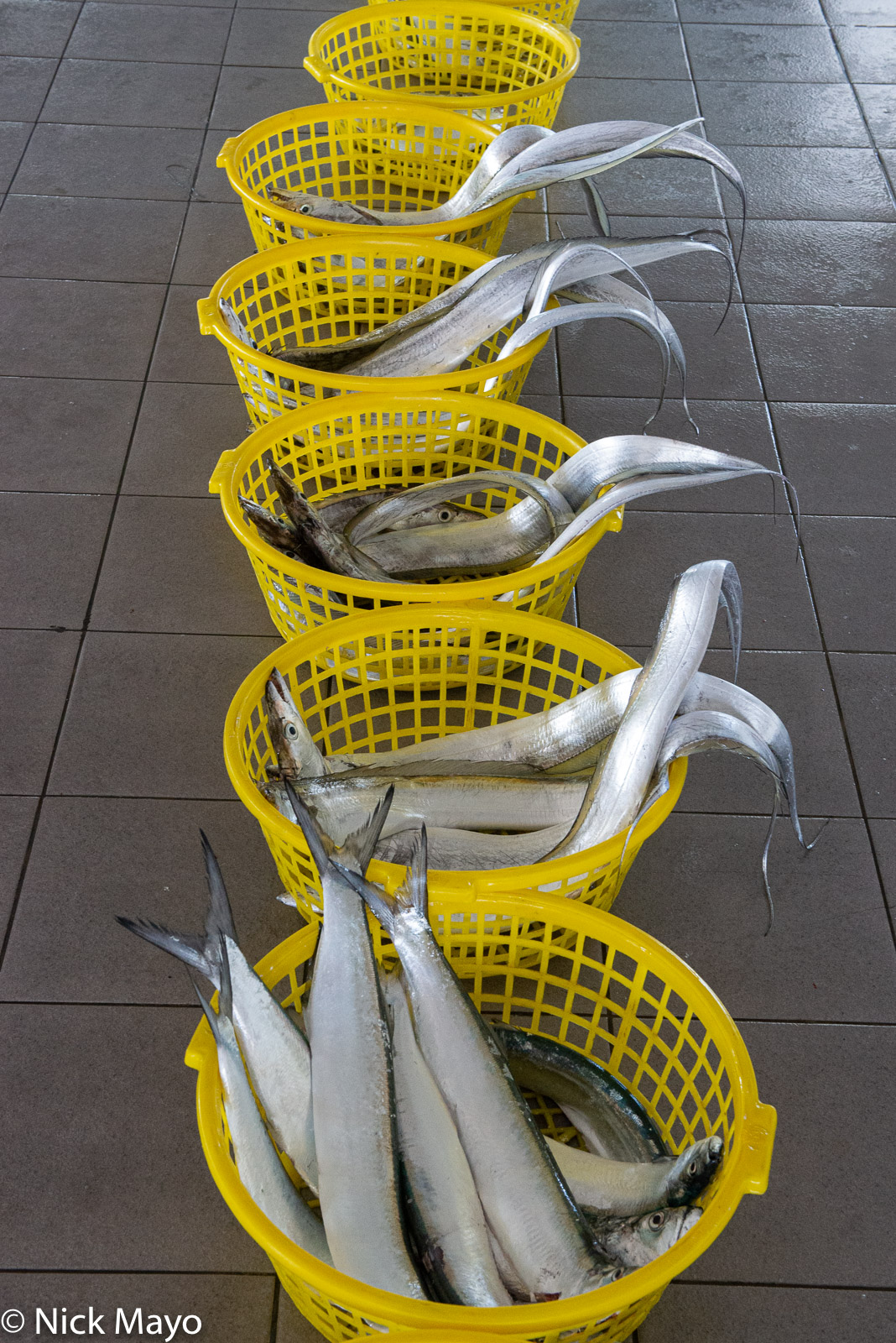 Part of the day's fish catch waiting to be auctioned at Chingkunshen port.