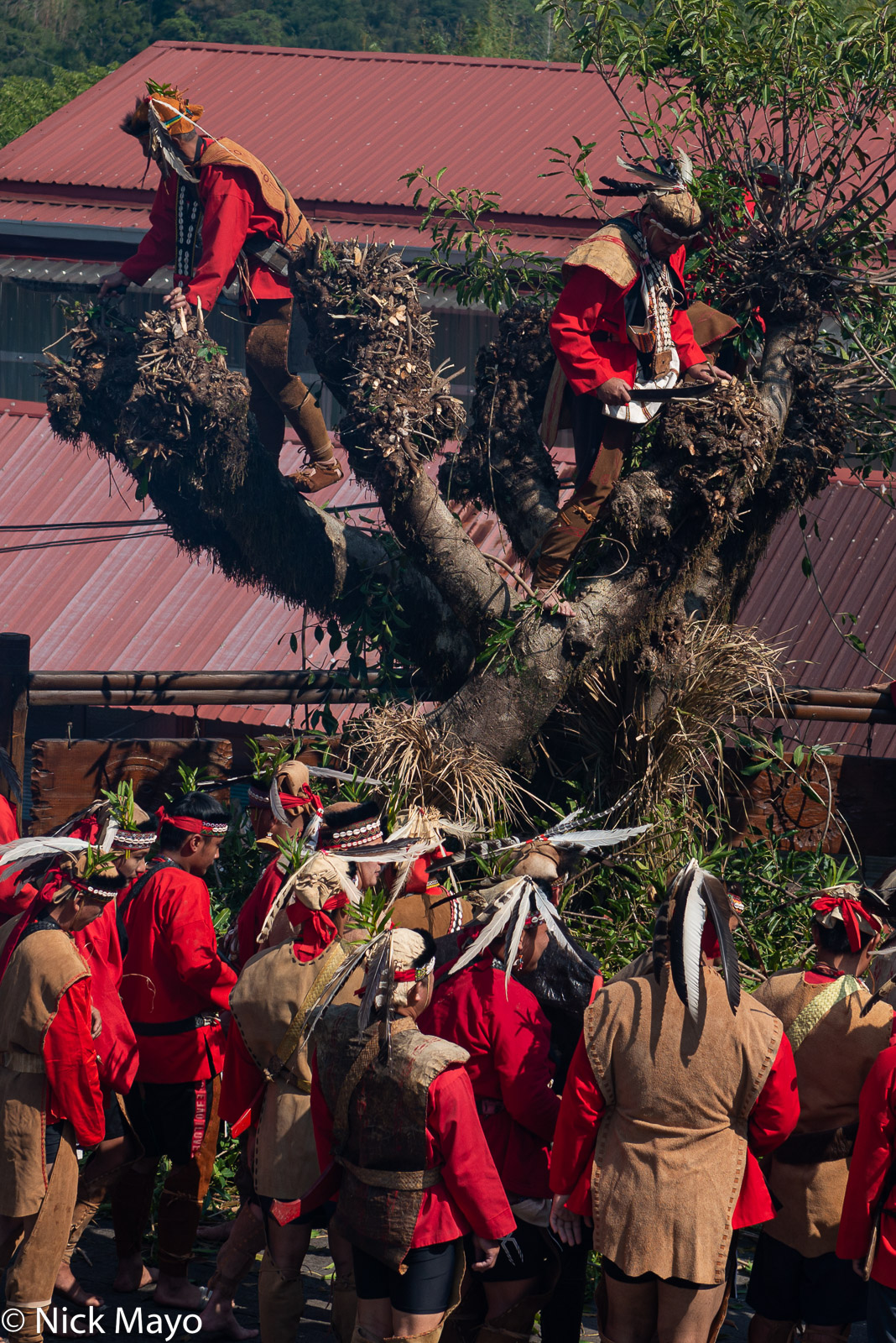Trimming the sacred tree during the Tsou Mayasvi festival at Tefuye.