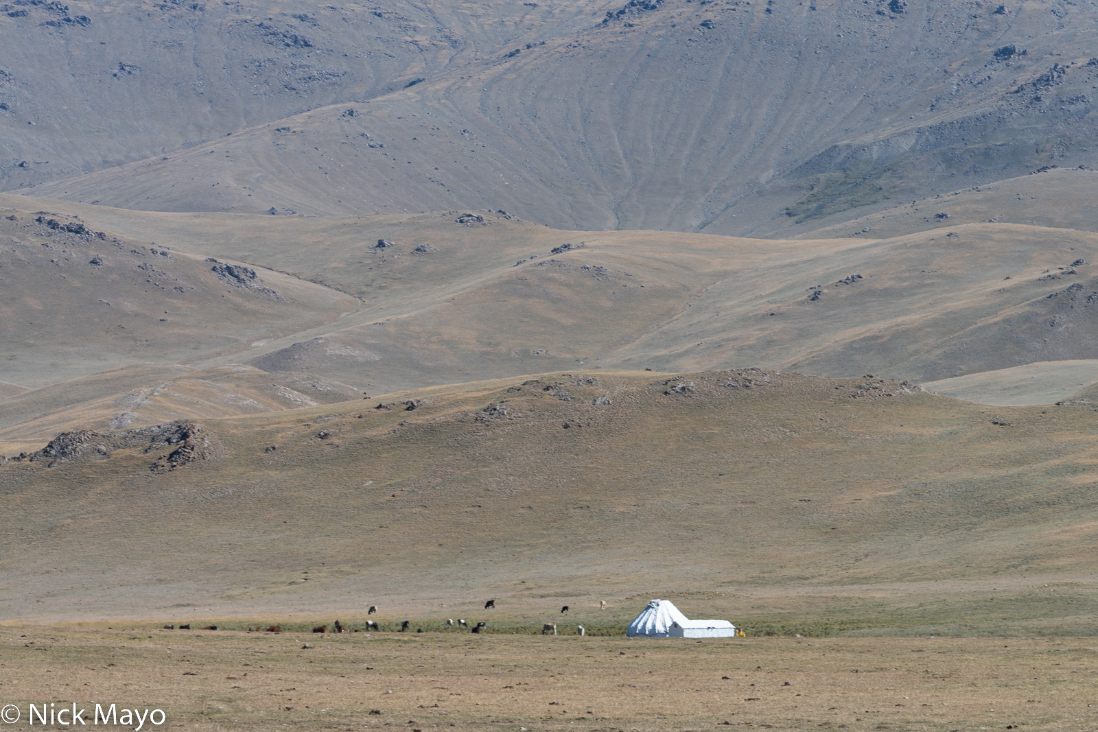 A yurt on the Son Kul grassland.