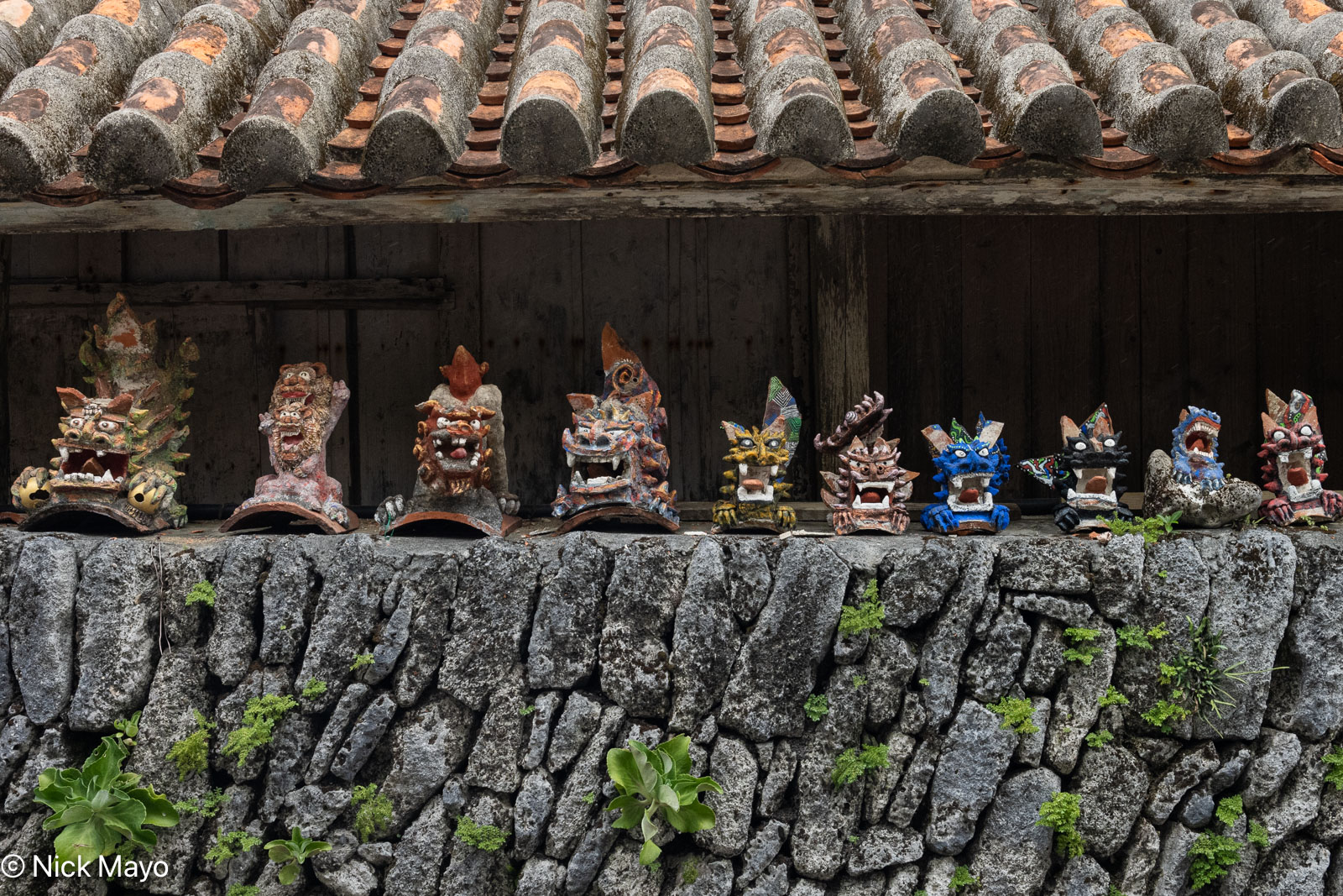 Shisa lined up on the coral wall of a traditional red roofed house on Zamami.