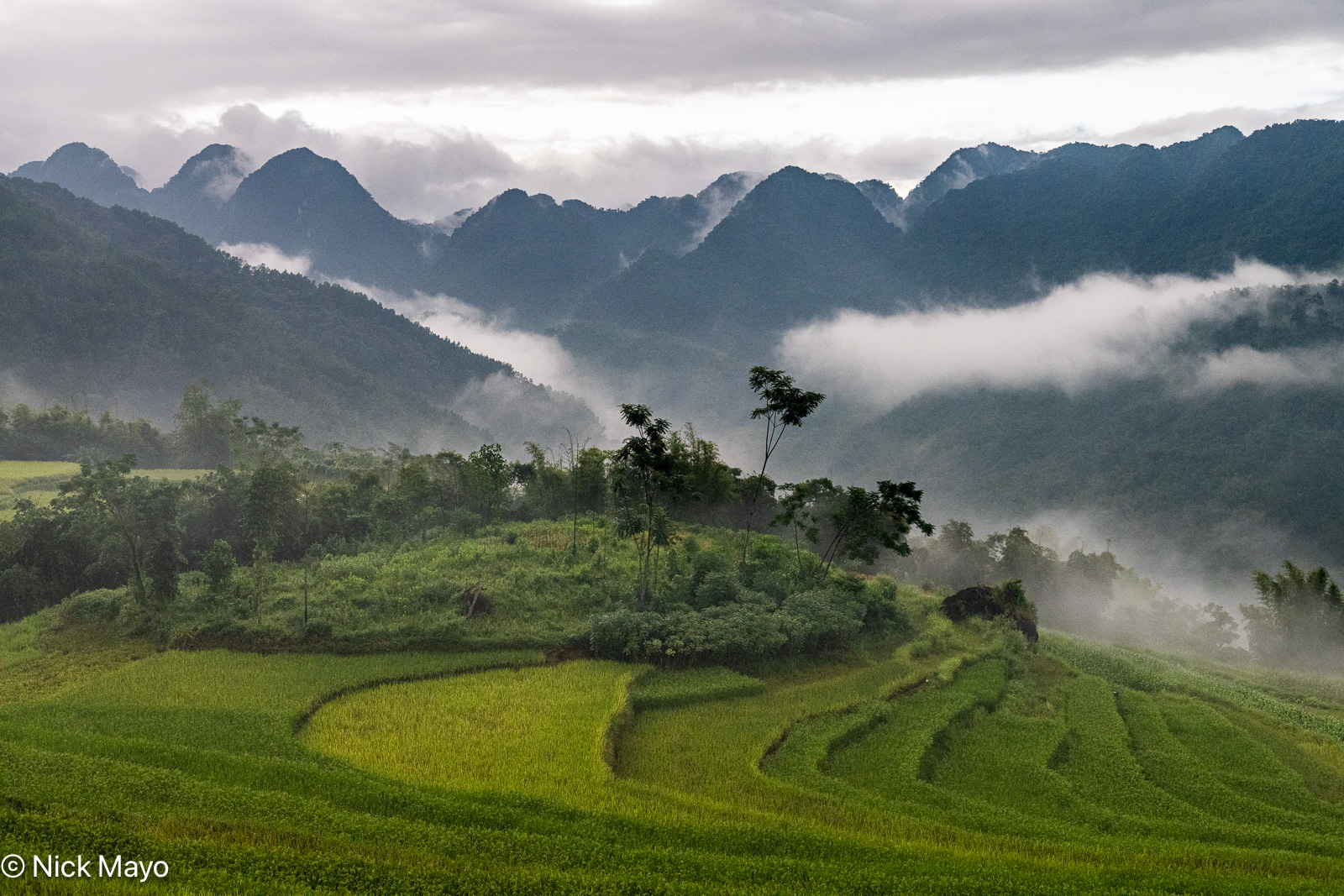 An afternoon view of paddy rice terraces from the Pu Luong Natura resort.